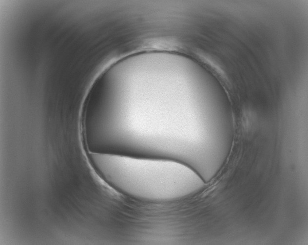 X0000073831471200608100949