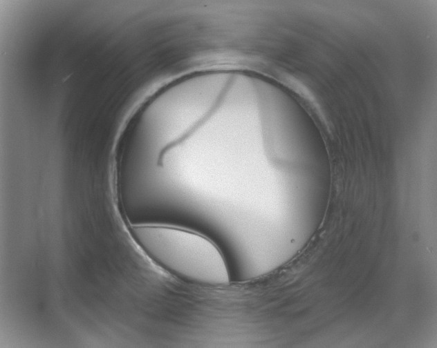 X0000073831472200608100949
