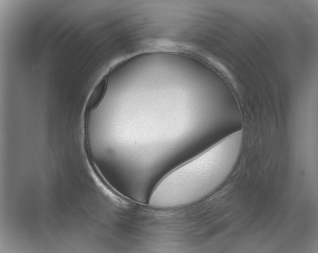 X0000073831479200608100948