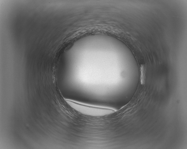 X0000073831491200608100947