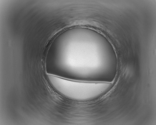 X0000073831497200608100948