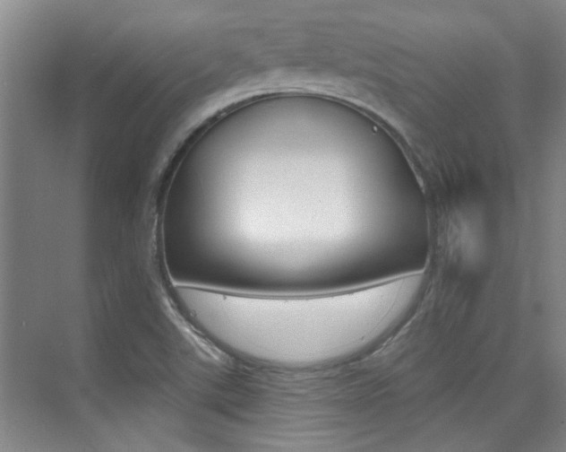 X0000073831507200608100948