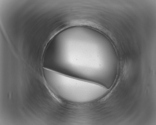 X0000073831521200608100948