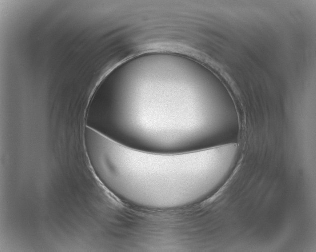 X0000073831529200608100948