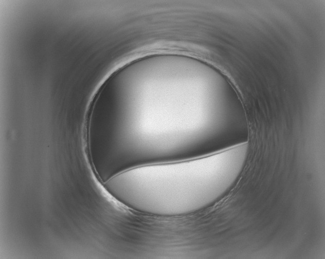 X0000073831531200608100948