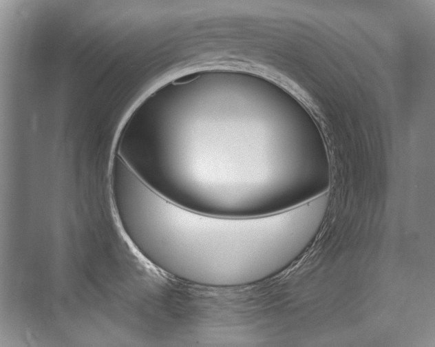 X0000073831536200608100948