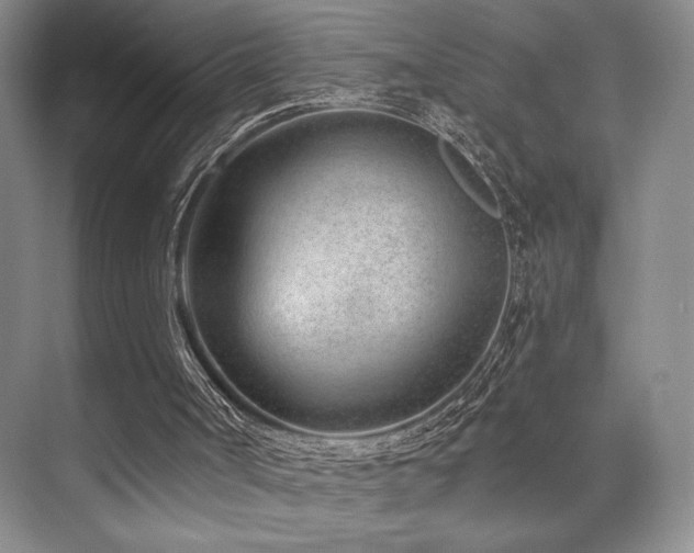 X0000073830002200608101215