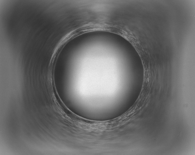 X0000073830004200608101215