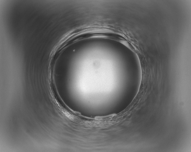 X0000073830005200608101215