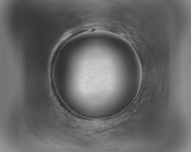 X0000073830006200608101215