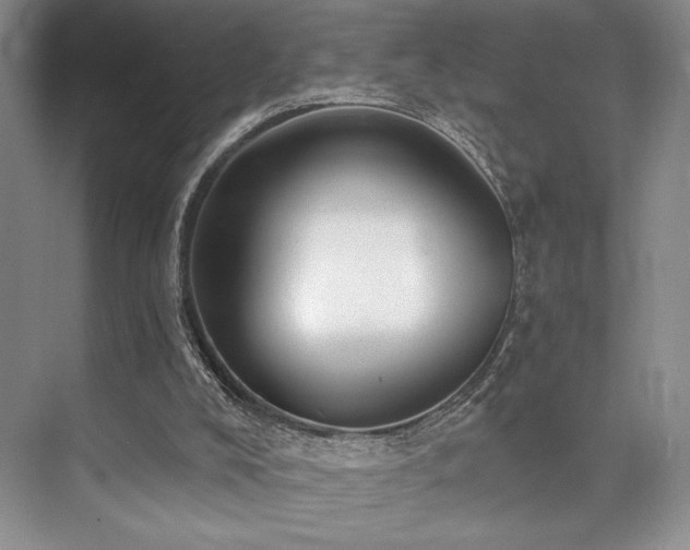 X0000073830008200608101215