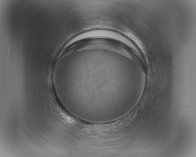 X0000073830009200608101215