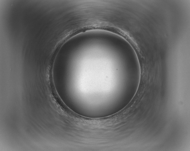 X0000073830010200608101215