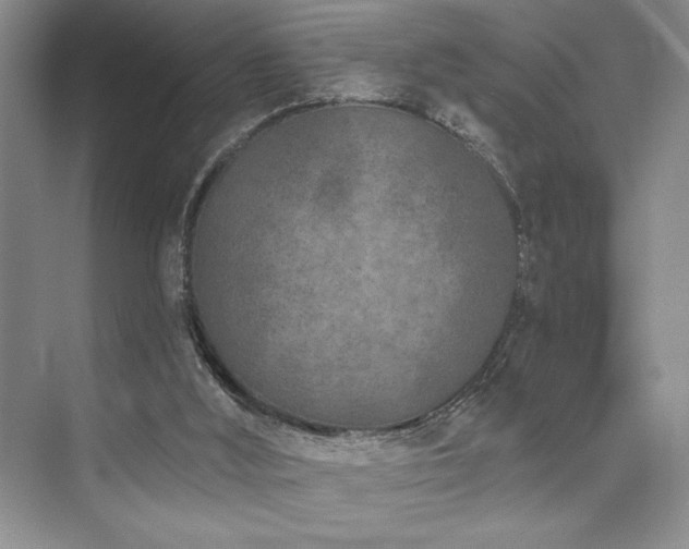 X0000073830012200608101215