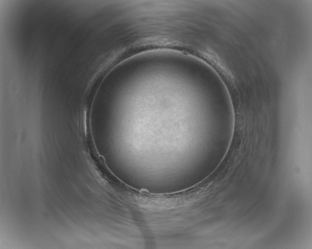 X0000073830014200608101215