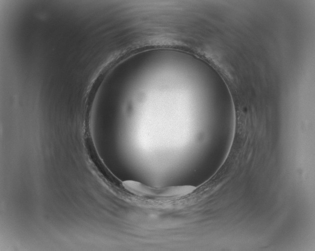 X0000073830015200608101215