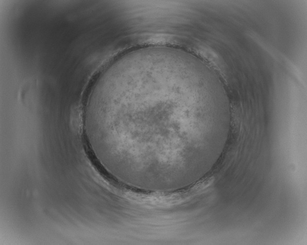 X0000073830016200608101215