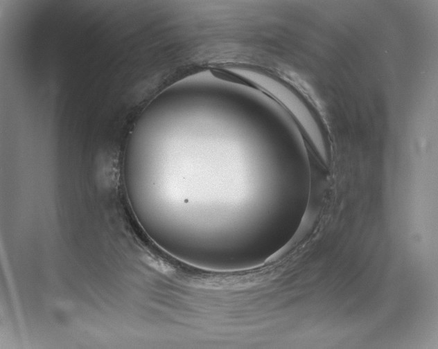 X0000073830017200608101215