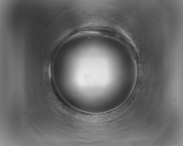 X0000073830019200608101215