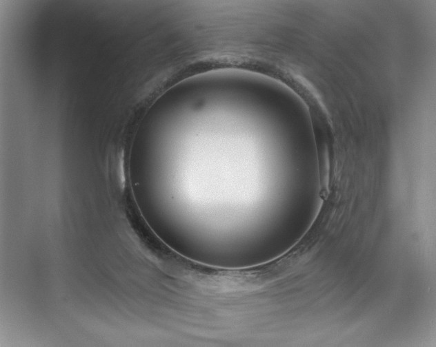 X0000073830020200608101215