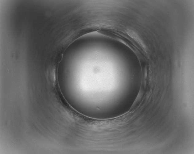 X0000073830021200608101215