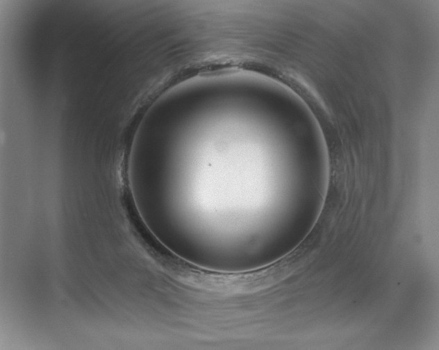 X0000073830023200608101215