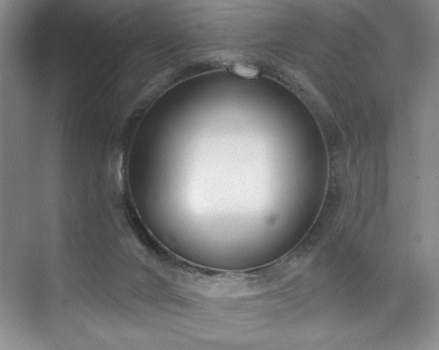 X0000073830024200608101215