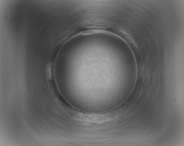 X0000073830026200608101215