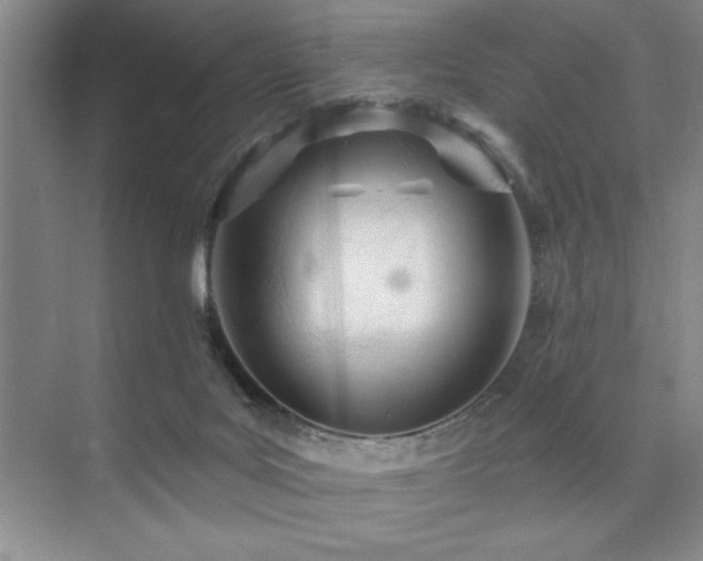 X0000073830027200608101215