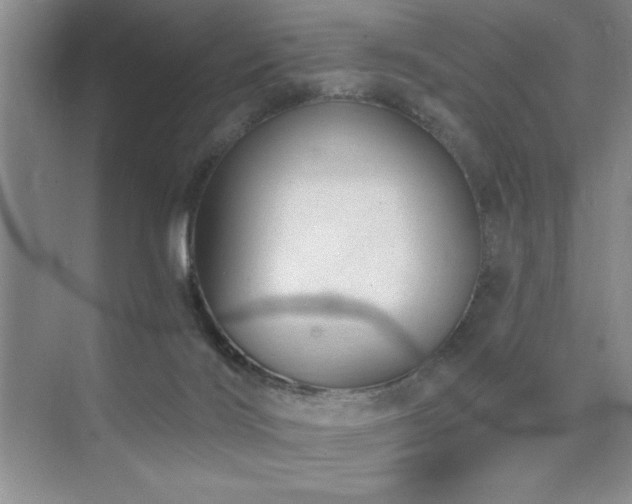 X0000073830028200608101215