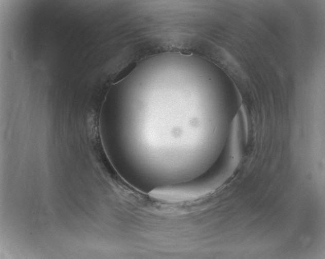 X0000073830029200608101215