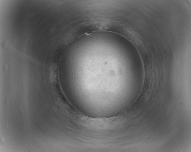 X0000073830030200608101215