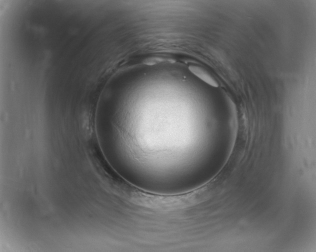 X0000073830031200608101215