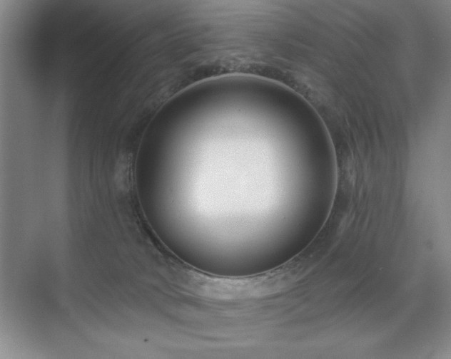 X0000073830034200608101215