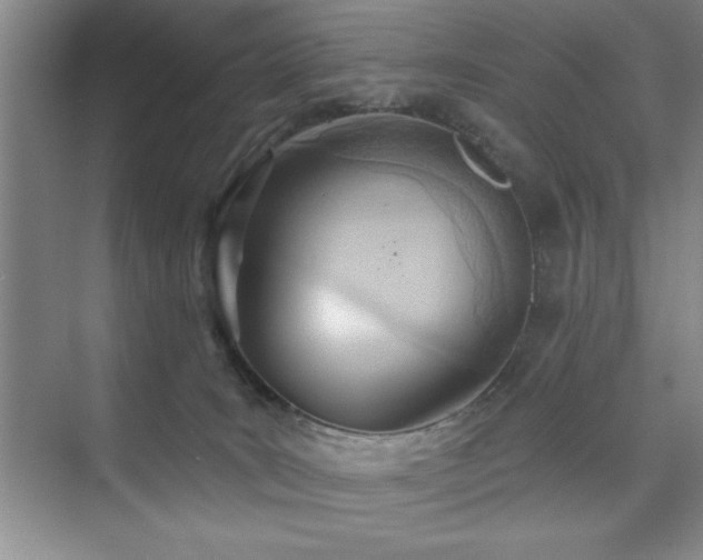 X0000073830035200608101215