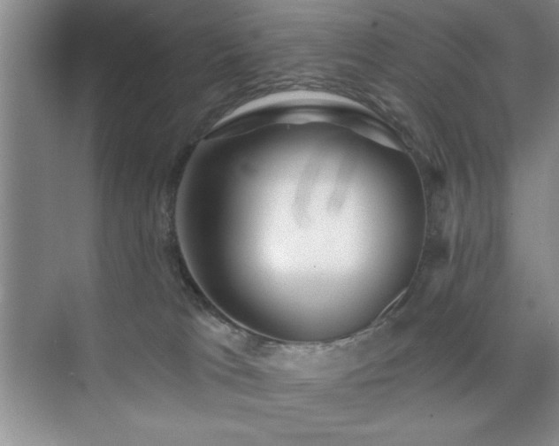 X0000073830037200608101215