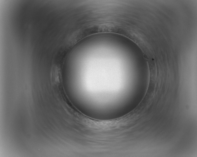 X0000073830038200608101215