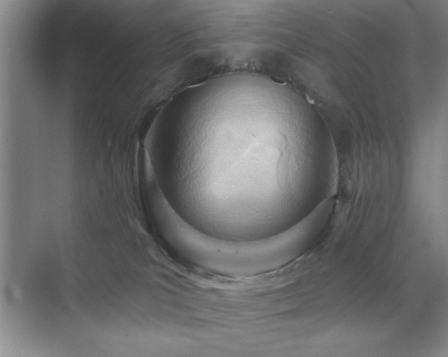 X0000073830039200608101215