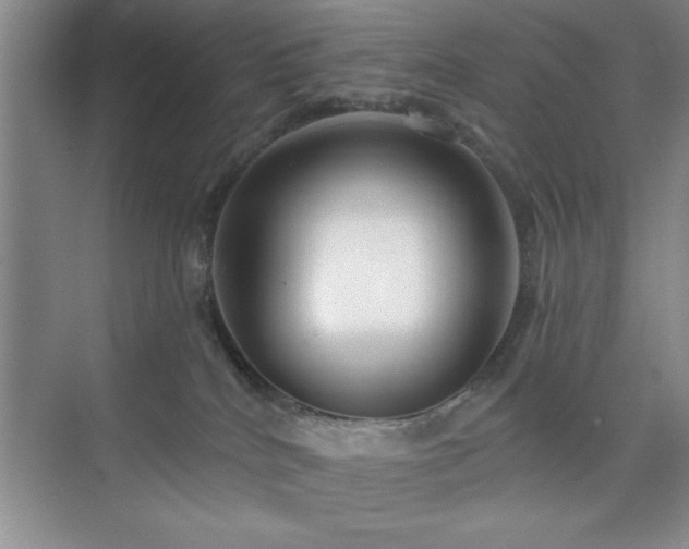 X0000073830040200608101215