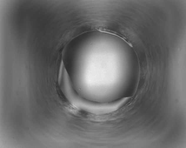 X0000073830041200608101215