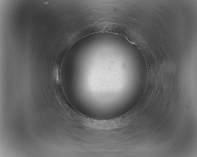 X0000073830042200608101215