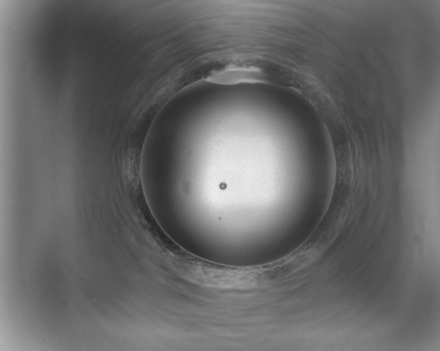 X0000073830044200608101215