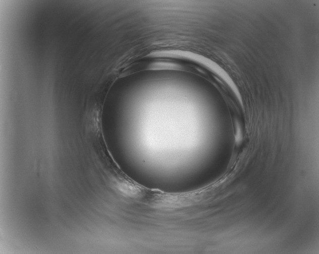 X0000073830045200608101215