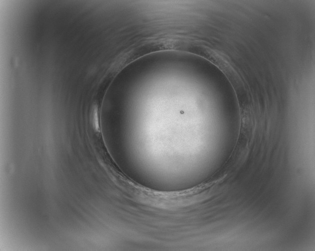 X0000073830046200608101215