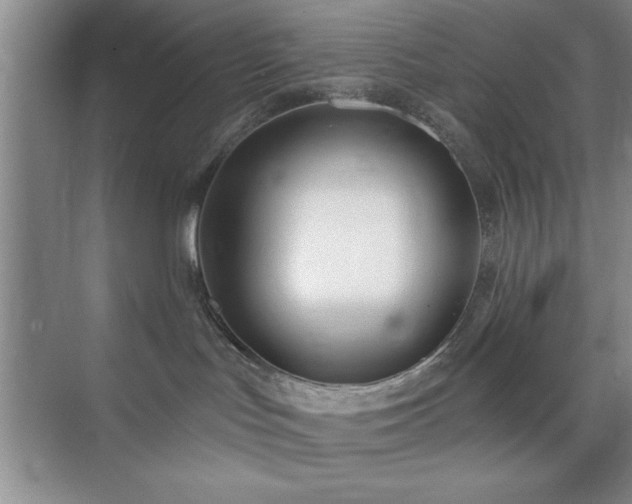 X0000073830047200608101215