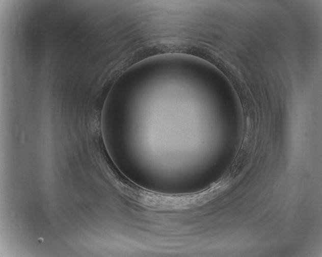 X0000073830048200608101215