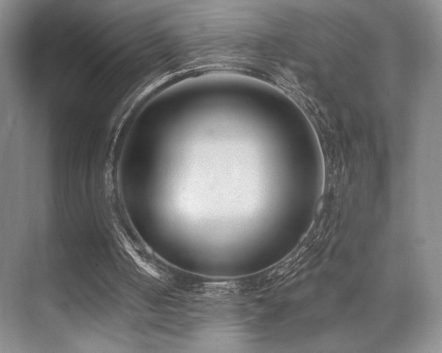 X0000073830050200608101214