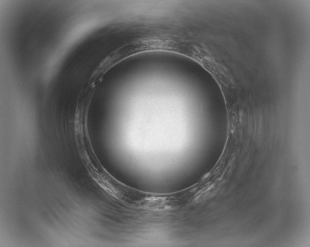 X0000073830052200608101214