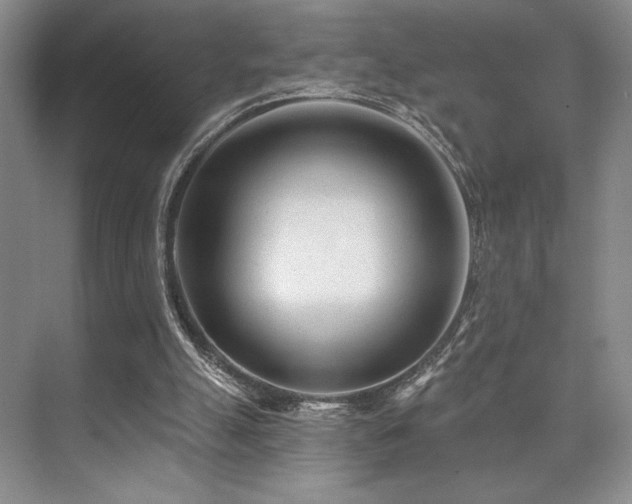 X0000073830055200608101214