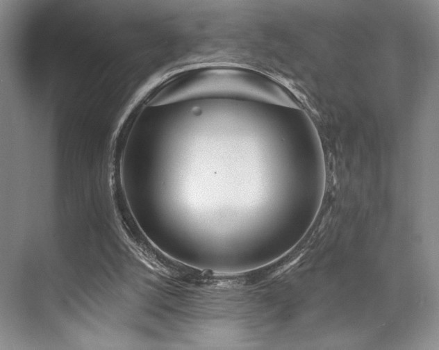 X0000073830056200608101214